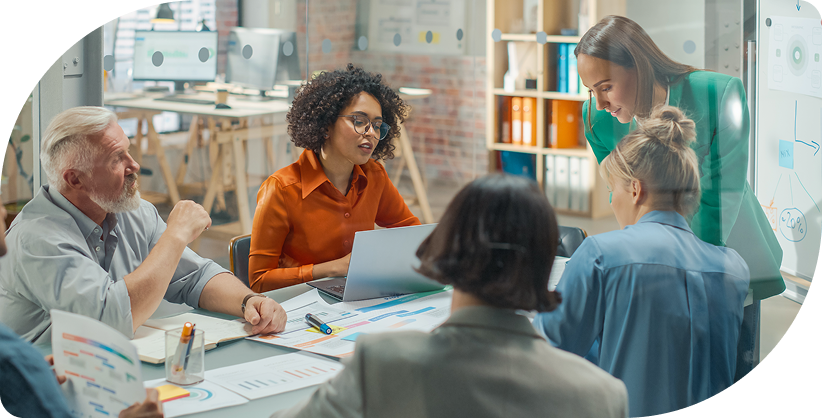 Analiza sarcinilor și consultanță